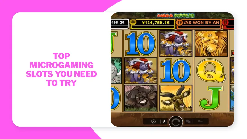 Top Microgaming Slots You Need to Try