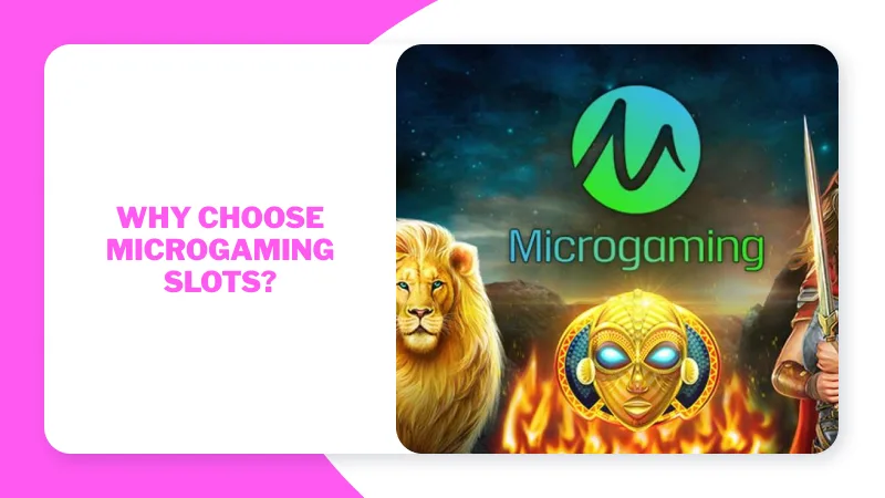 Why Choose Microgaming Slots?